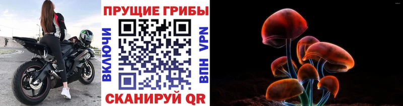 Галлюциногенные грибы прущие грибы  Купить  Каменск-Шахтинский 